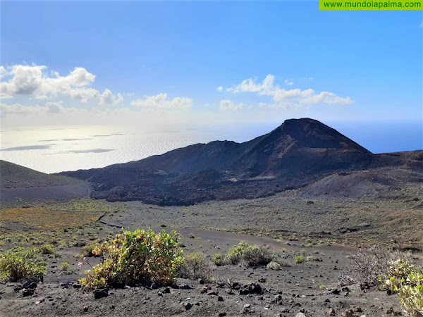 Medio Ambiente realiza labores de restauración y acondicionamiento en el entorno del Teneguía