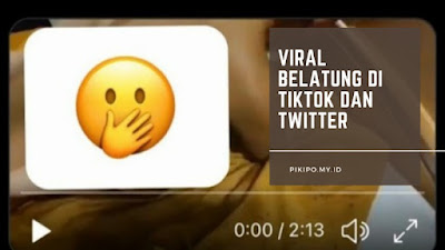 Tersebar Link Download Video Belatung Viral, Ramai Diburu Netizen TikTok hingga Twitter, Begini Faktanya!