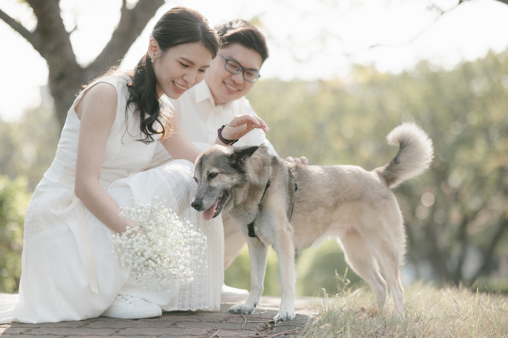 派大影相,派大楊,登記結婚,公證結婚,