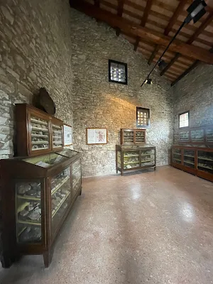 Museo Geopaleontologico Cava Bomba