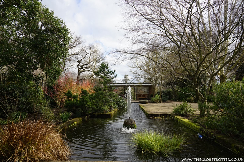 The Water Garden (at Abbey Gardens) in Bury St Edmunds