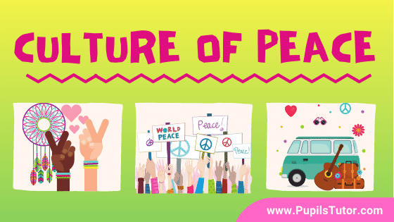 What Is Culture Of Peace - How Can We Promote It | 7 Ways To Promote Peace Culture - Gender Equality, Non-Violence, Democratic Participation, Security - pupilstutor.com