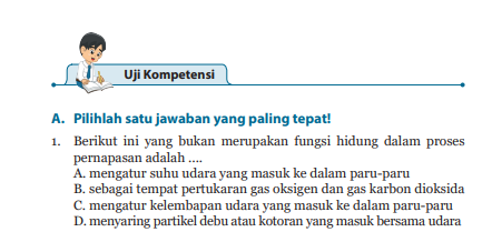 Struktur yang berfungsi untuk melindungi paru paru dan gesekan saat mengembang dan mengempis adalah