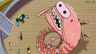 ワンピースアニメ 752話 りゅーのすけ | ONE PIECE Episode 752