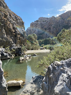 View of Preveli Palm Forest.