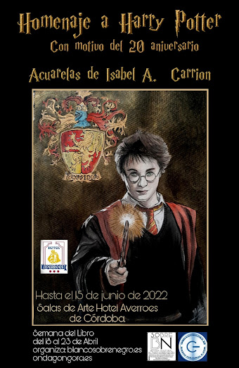 Homenaje a Harry Potter con motivo del 20 aniversario de Hp y la Piedra Filosofal. Junio