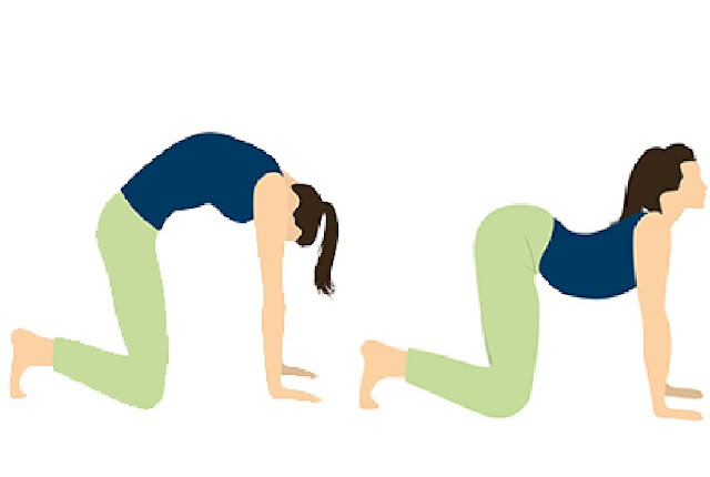 5 лучших упражнений йоги для дома / 5 best yoga exercises for home