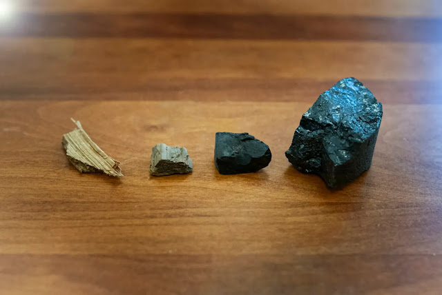 Se descubre el mecanismo de creación del carbón