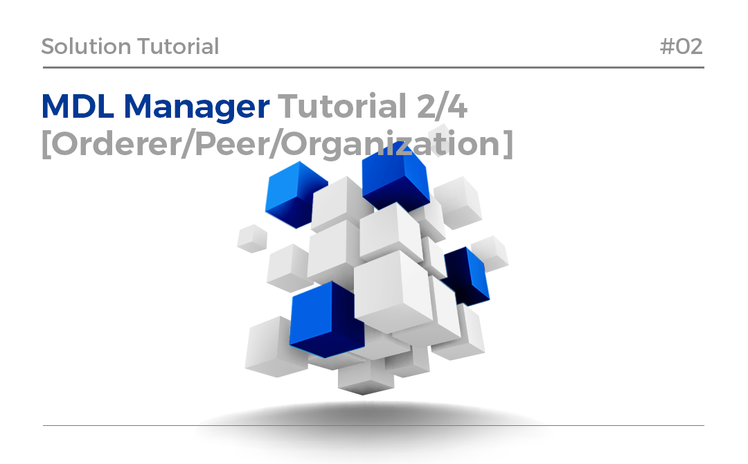 tutorial network hyperledger fabric hlf blockchain orderer peer organization