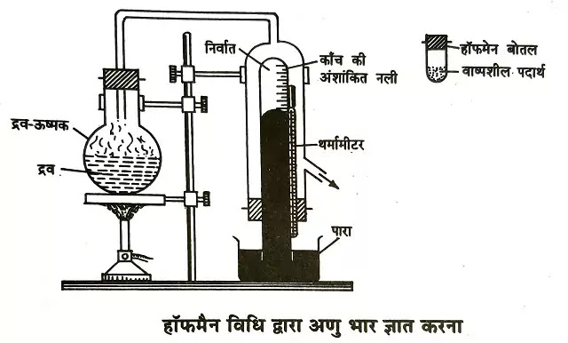 अणु भार (Molecular Weight) : परिभाषा, अणु भार ज्ञात करने की विधि|hindi