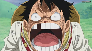 One Piece 第808話 哀しき決闘 ルフィvsサンジ ネタバレ