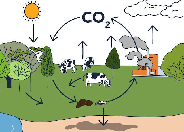 El Ciclo del Carbono es el ciclo biogeoquímico mediante el cual se intercambia carbono entre la biosfera, la pedosfera, la geosfera, la hidrosfera y la atmósfera de la Tierra.