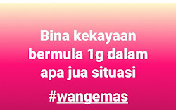 Jom Simpan Aset dengan Emas dah start hari ni: 17-May-2024