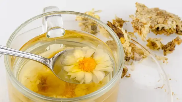 Chrysanthemum Tea Benefits