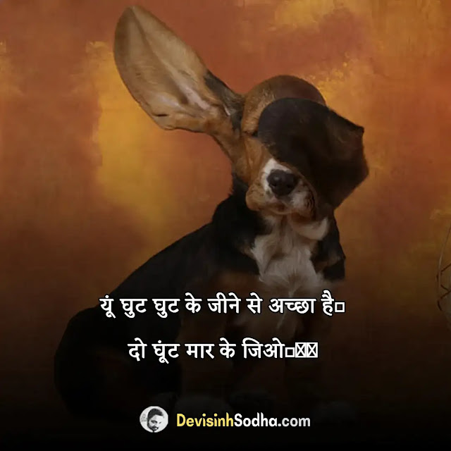 funny captions in hindi for instagram, savage hindi captions for instagram, funny captions in hindi for boy, funny captions in hindi for girl, funny hindi captions for selfies, short captions for instagram, attitude caption for instagram in hindi, funny quotes in hindi text, funny quotes in hindi for whatsapp, zindagi funny quotes in hindi