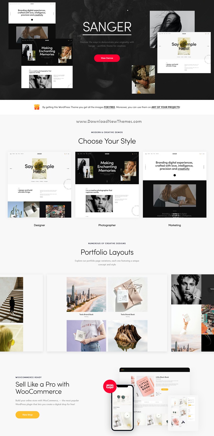 Sanger - Personal Portfolio for Creatives WordPress Theme Review