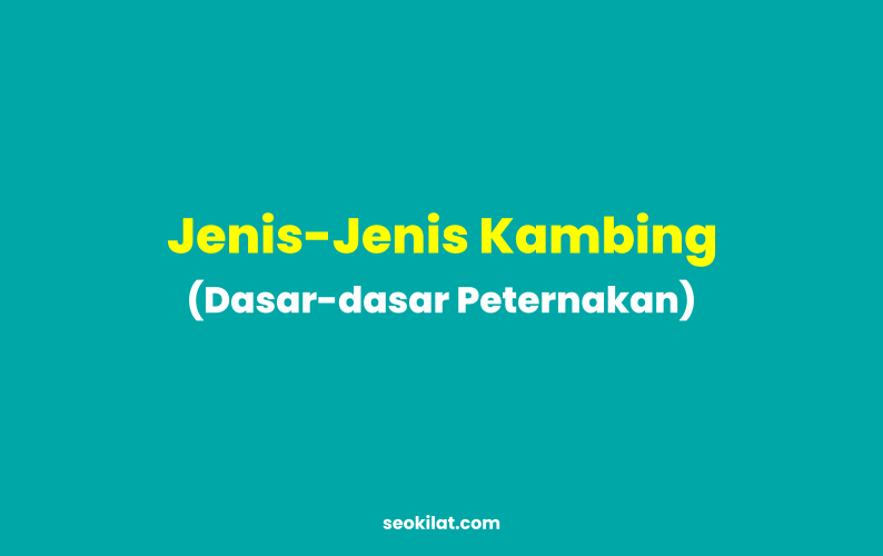 Jenis-Jenis Kambing