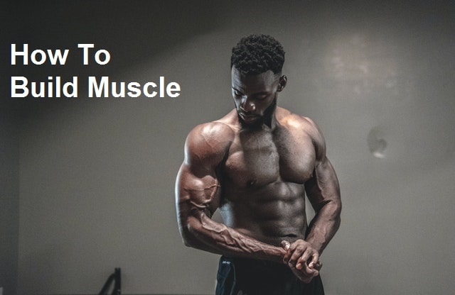 How To Build Muscle
