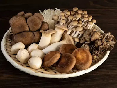 Is Mushroom Business Profitable In India
