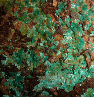 Malaquita, cristales aplanados Peñas Blancas, Euskadi, España, campo 2 cm