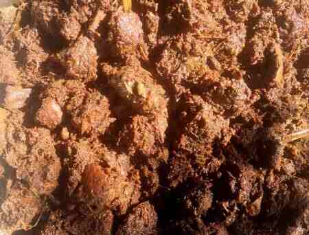 rendang daging