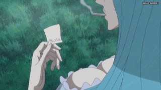 ワンピースアニメ WCI編 811話 ビッグマム ビブルカード Bigmom's Vivre Card | ONE PIECE Episode 811