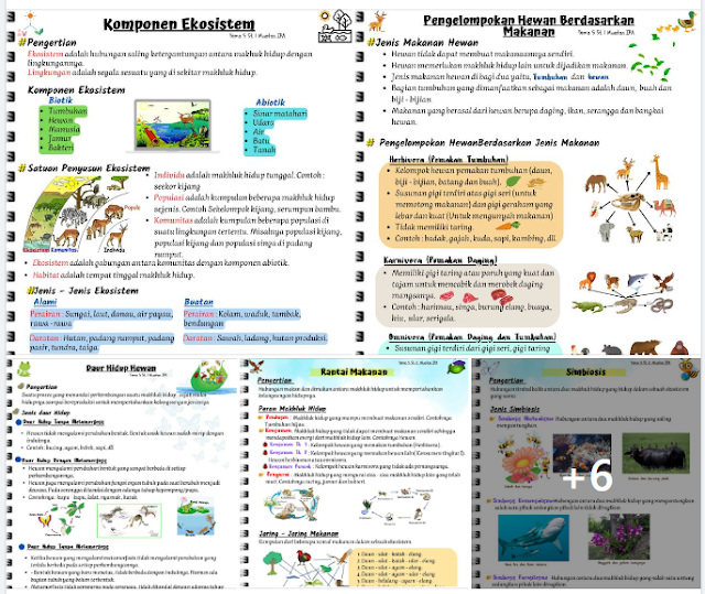 Rangkuman Materi K13 Kelas 5 Tema 4 Ekosistem