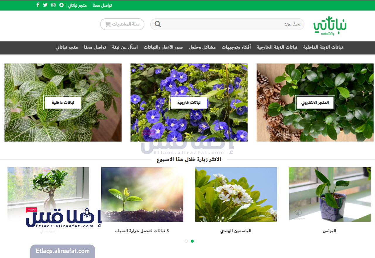 مواقع عربية مفيدة ,، دليل نباتاتي - دليلك الشامل للزراعة المنزلية ونباتات الزينة