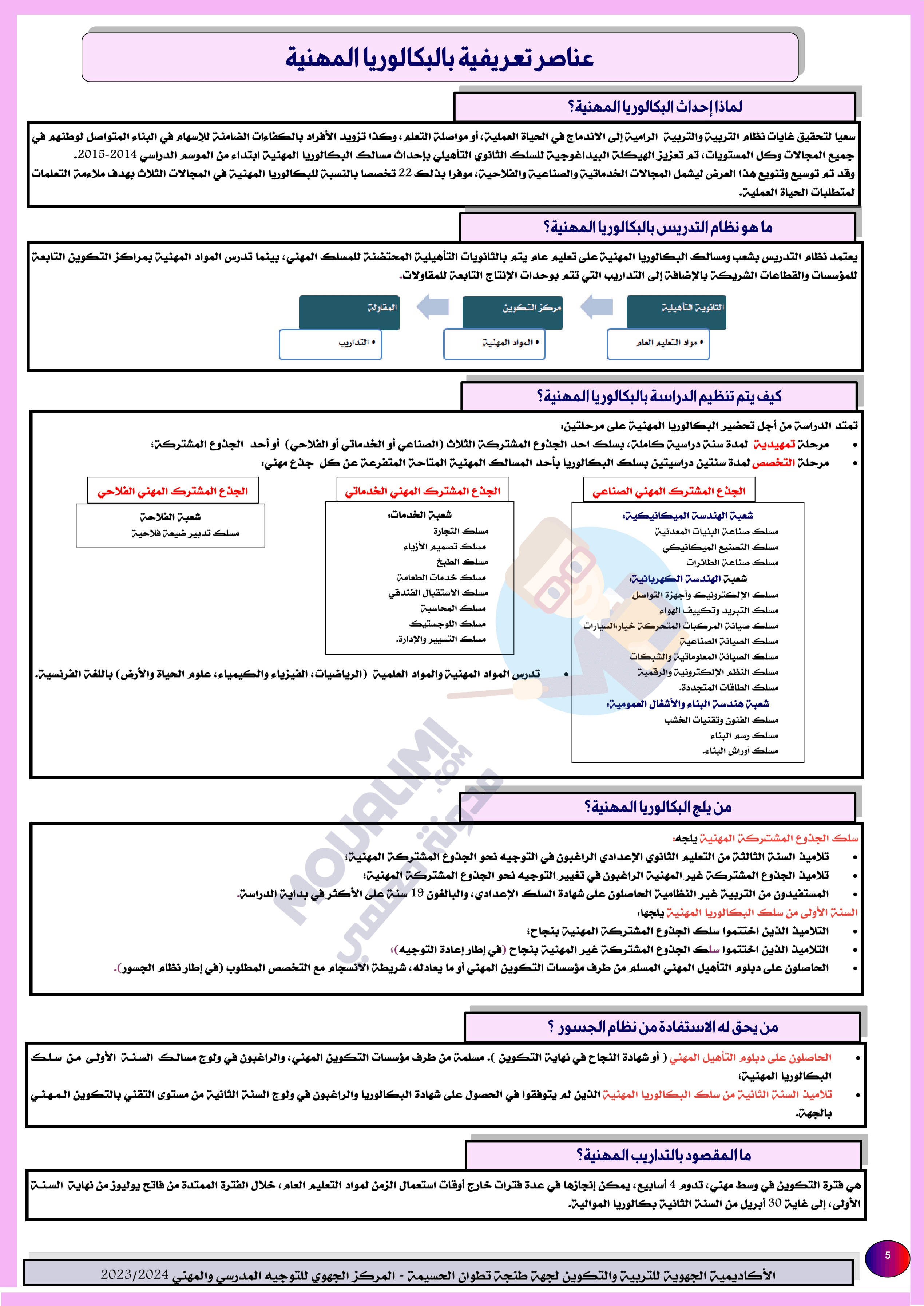 عناصر تعريفية بالبكالوريا المهنية