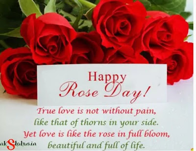 Happy Rose Day Images For Friends