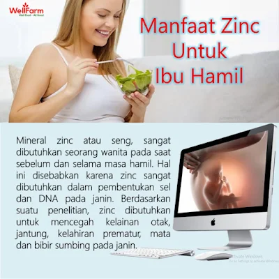 manfaat nutrisi zinc ibu hamil