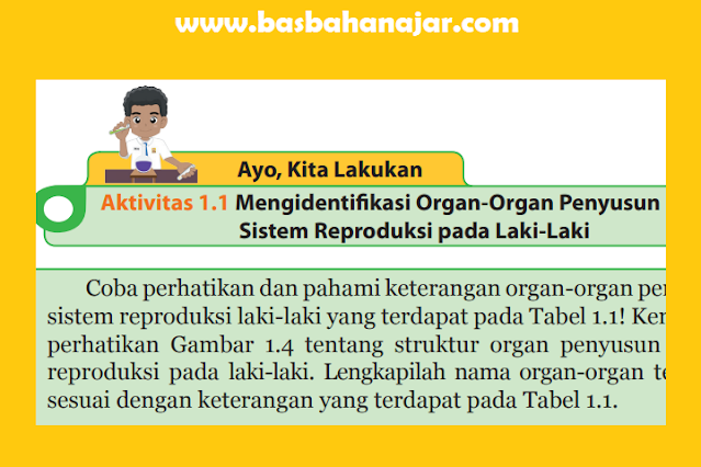 Aktivitas 1.1 Mengidentifikasi Organ-Organ Penyusun Sistem Reproduksi pada Laki-Laki