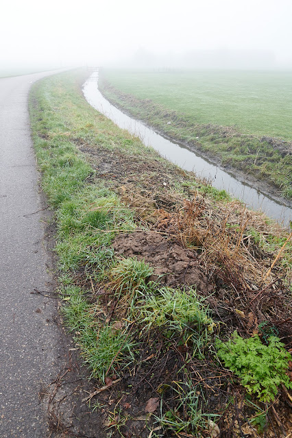 www.jetjesdag.nl | Nicolaas/S fotografie | Mist in De poelpolder in Lisse