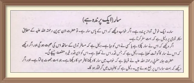 س,khwab mein Sar parinda Dekhna Ki Tabeer,  khwab mein Sar parinda Dekhna Ki Tabeer urdu mein,  khwab mein Sar  Dekhna Ki Tabeer,  khwab mein Sar parinda Dekhna Ki Tabeer ibn e siren,