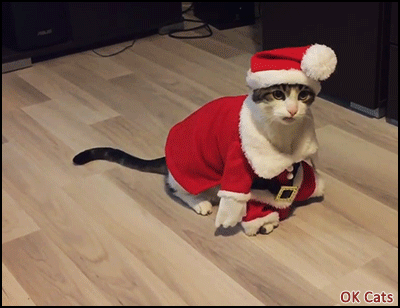 Christmas Cat GIF • Funny dramatic cat playing dead in his Santa costume The game is over, haha!