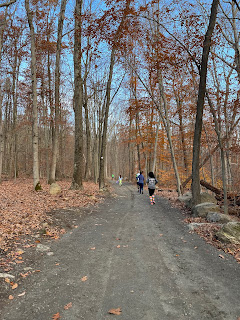 A tree-lined trail with runners along it.