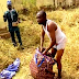 Amotekun Arrests Man With Human Parts In Osun