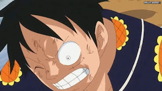 ワンピースアニメ ドレスローザ編 733話 ルフィ Monkey D. Luffy | ONE PIECE Episode 733