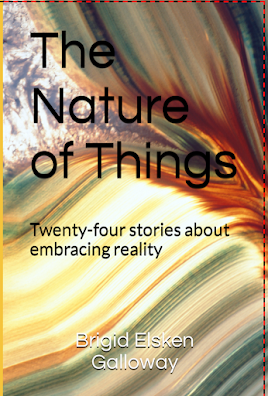 NOW AVAILABLE: THE NATURE OF THINGS by Brigid Elsken Galloway