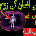 Rooh Zakhmi Kese Hota Hai Khabardar Hadees Hazrat Imam Ali as Qol Spirit Soul आत्मा | Paigham e Nijat