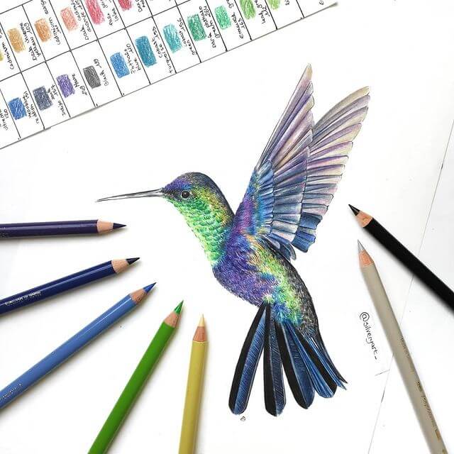 08-Iridescent-hummingbird-Ele-www-designstack-co