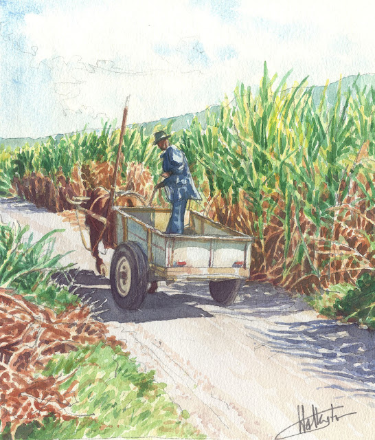 Watercolour of a sugar cane farmer standing on his ox-drawn cart, returning home, "Charrette retour," by William Walkington