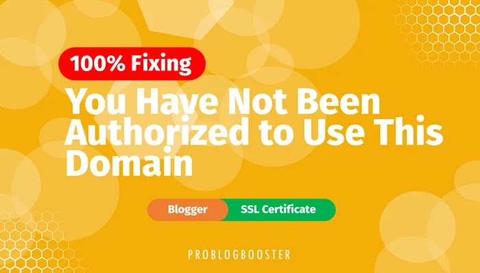 Fixing You Have Not Been Authorized to Use This Domain