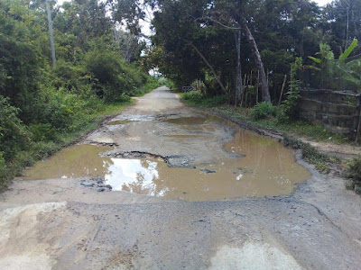 Ketua PD GNPK-RI bersuara terkait jalan dalam kecamatan Sekayu rusak
