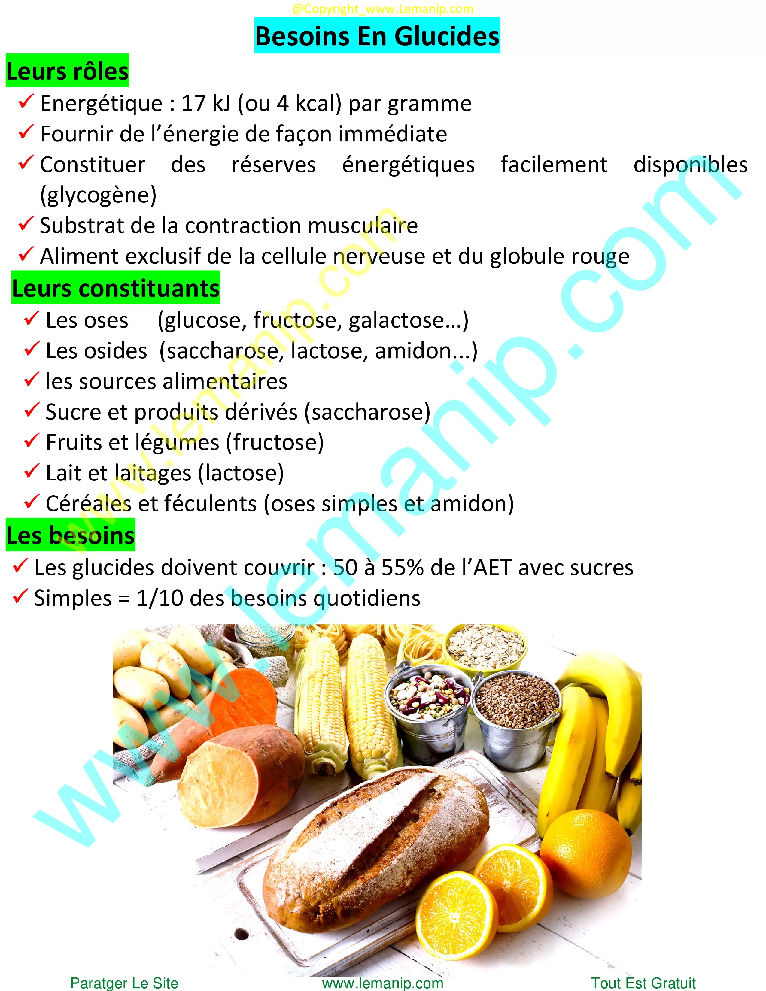 Besoins En Glucides