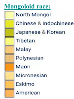 Mongoloid (Oriental/ Amerindian)