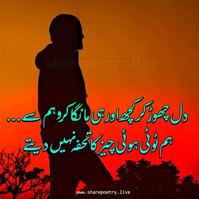 2 Lines Sad Poetry Shayari in Urdu | Painful Poetry