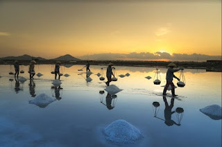 Ngỡ ngàng với vẻ đẹp tráng lệ của những cánh đồng muối ở Ninh Thuận