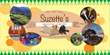 Suzette's Maligcong Homestay