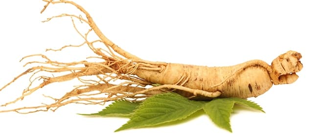 Ginseng y sus múltiples beneficios para tu organismo